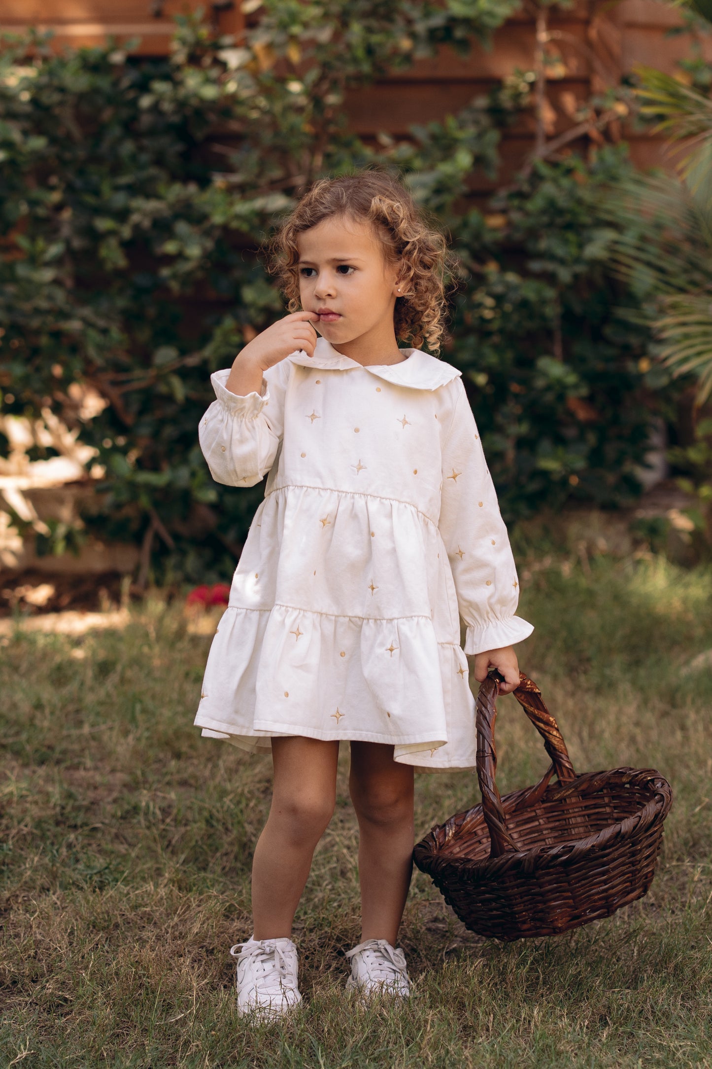 The Starlight & Dots Embroidered Collared Dress