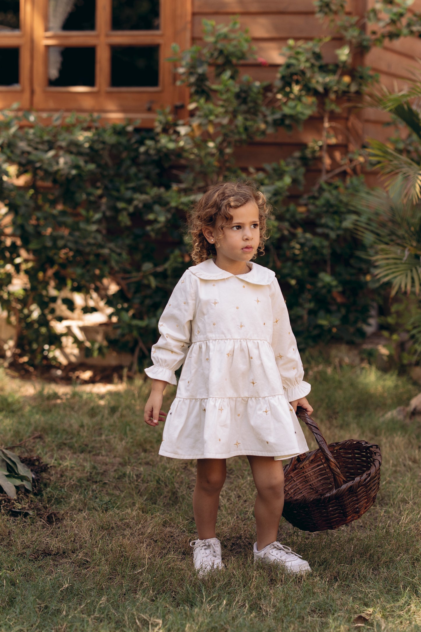 The Starlight & Dots Embroidered Collared Dress