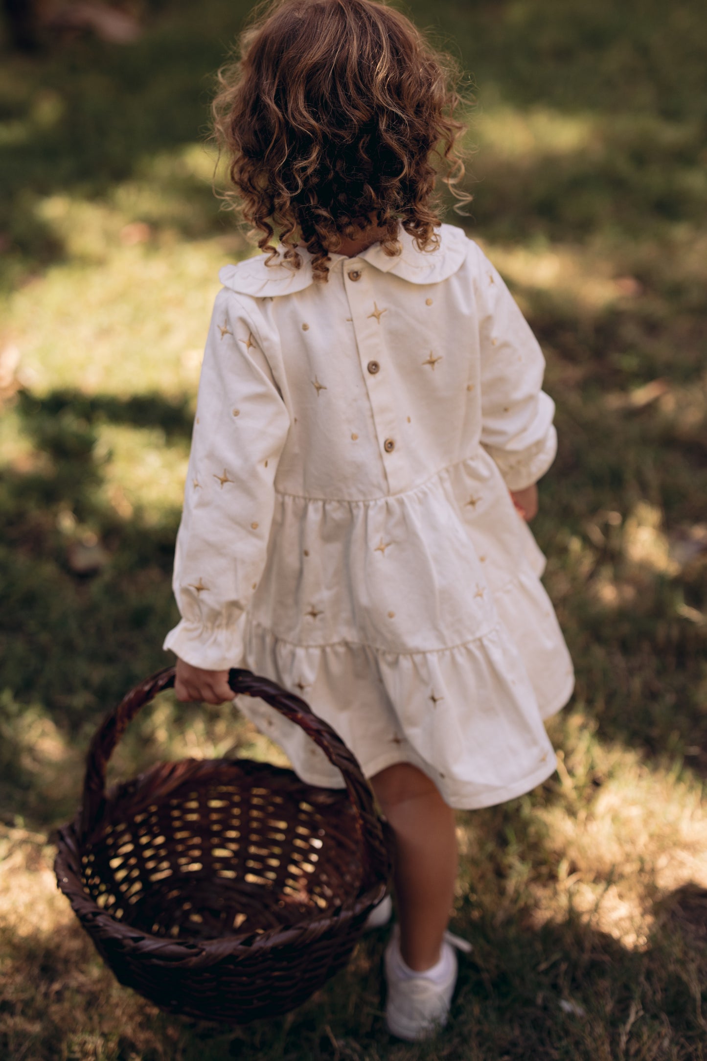 The Starlight & Dots Embroidered Collared Dress