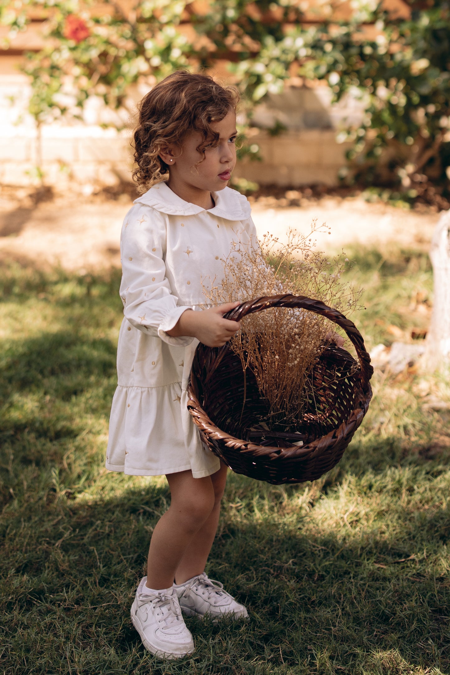 The Starlight & Dots Embroidered Collared Dress