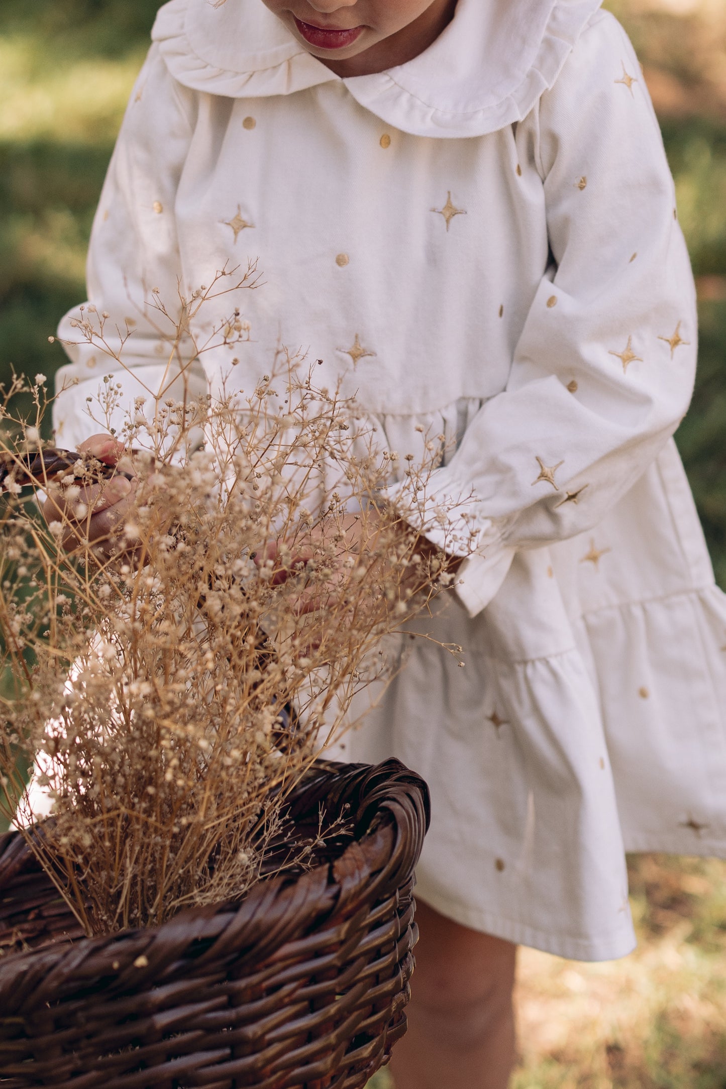 The Starlight & Dots Embroidered Collared Dress