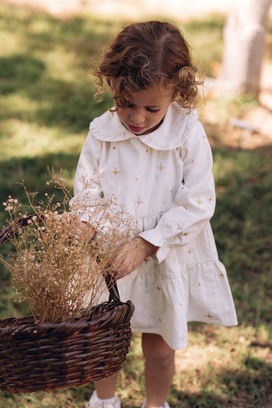 The Starlight & Dots Embroidered Collared Dress