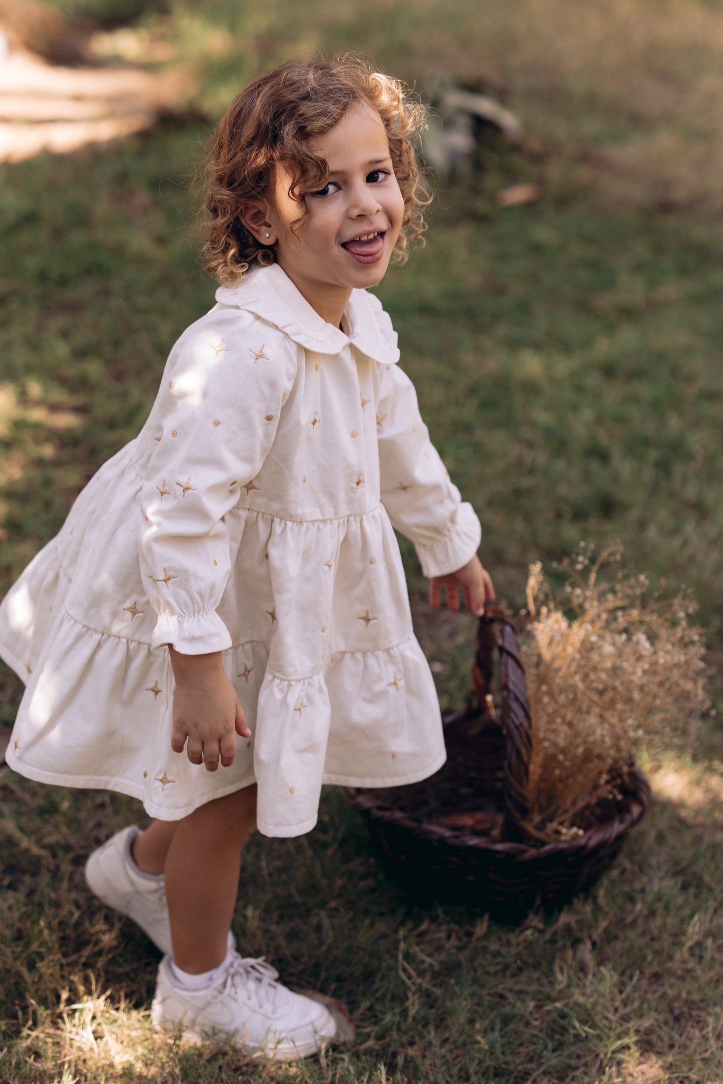 The Starlight & Dots Embroidered Collared Dress