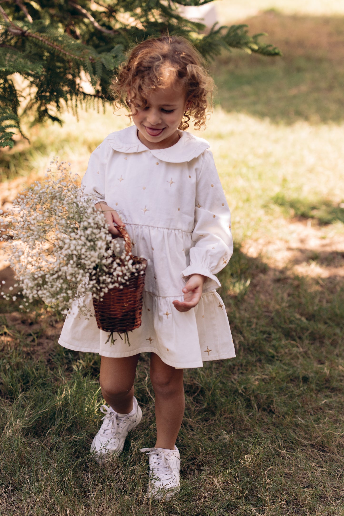 The Starlight & Dots Embroidered Collared Dress