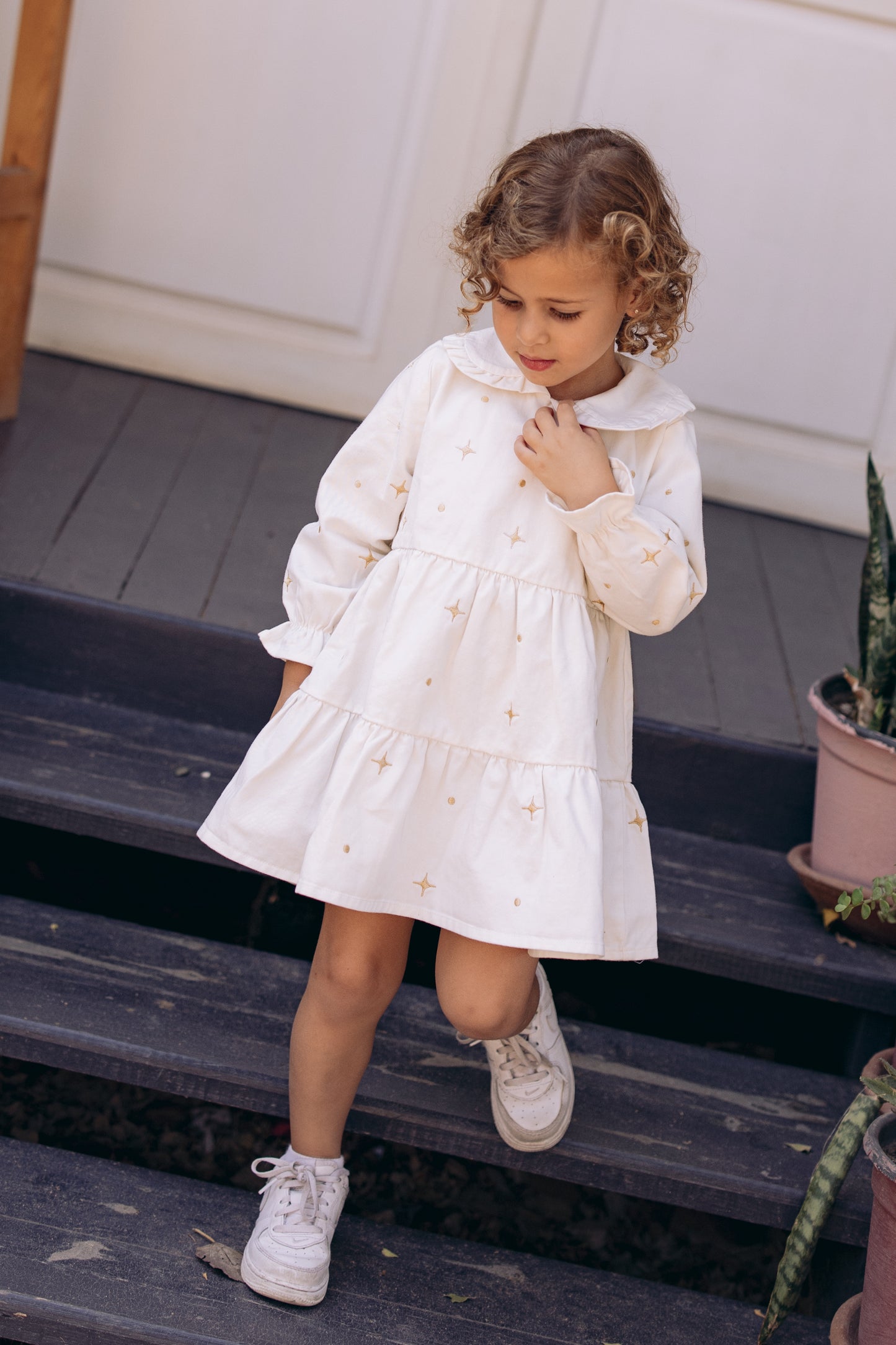 The Starlight & Dots Embroidered Collared Dress