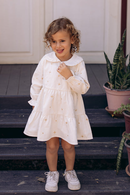 The Starlight & Dots Embroidered Collared Dress