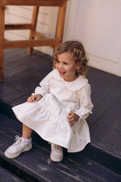 The Starlight & Dots Embroidered Collared Dress