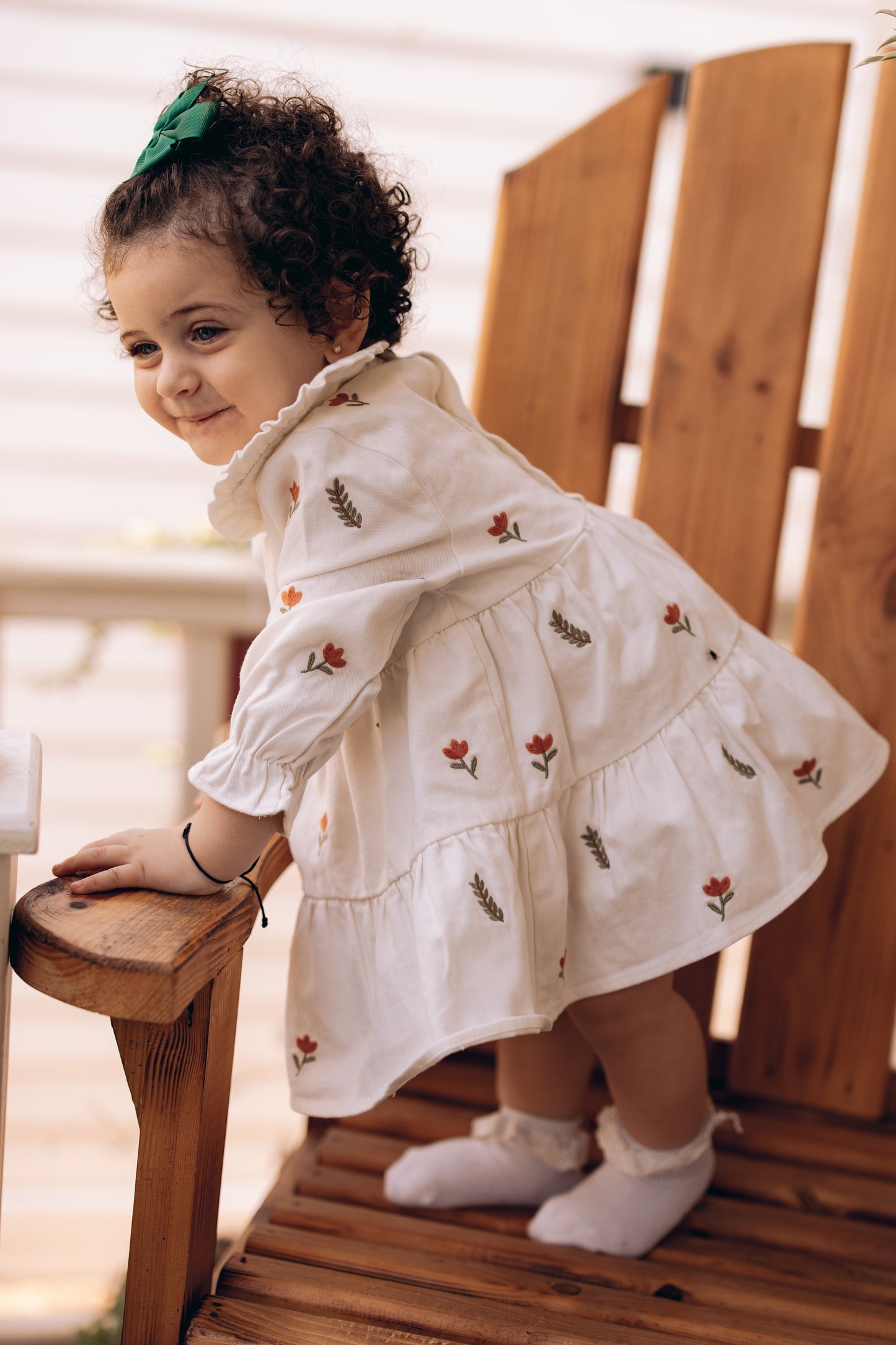 The Leaves Embroidered Collared Dress