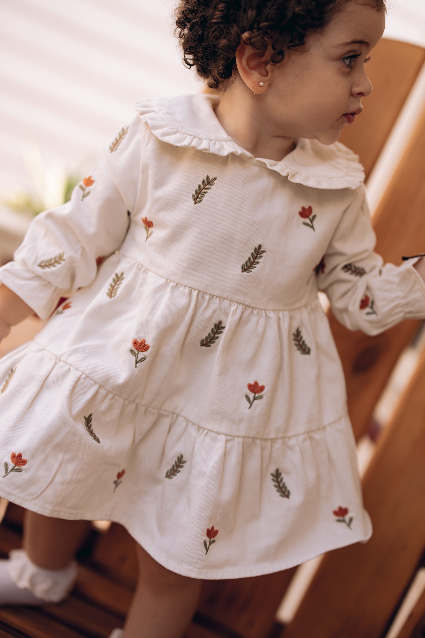 The Leaves Embroidered Collared Dress