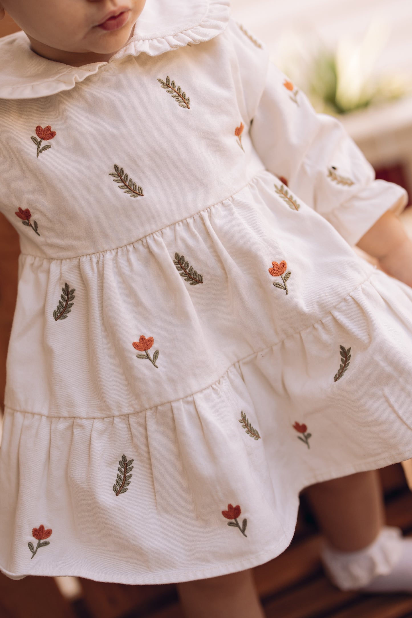 The Leaves Embroidered Collared Dress